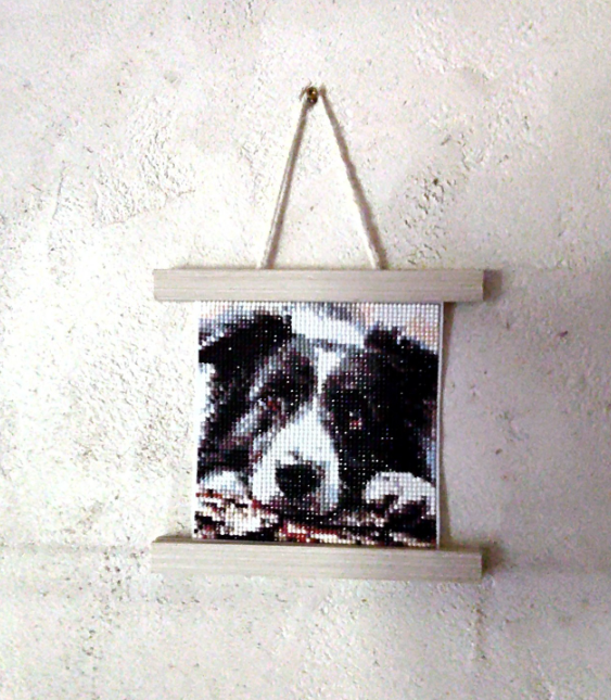 Diamond Painting - Border Collie