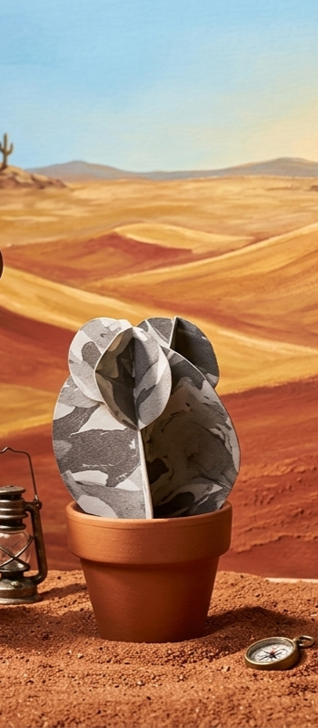 Origami "Cactus gris camouflage"